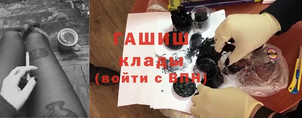 шишки Осинники