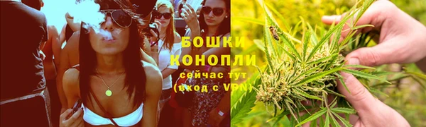 прущие грибы Няндома