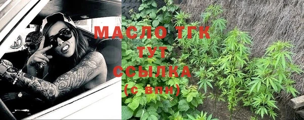 прущие грибы Няндома