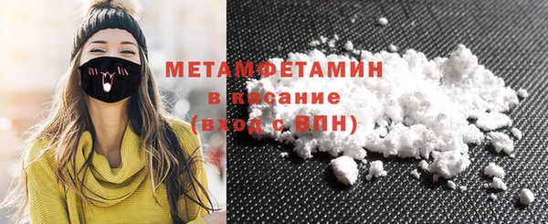 прущие грибы Няндома