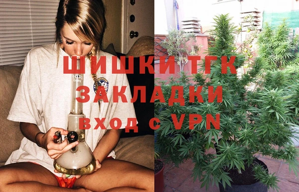 прущие грибы Няндома
