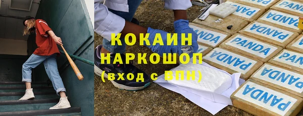 прущие грибы Няндома