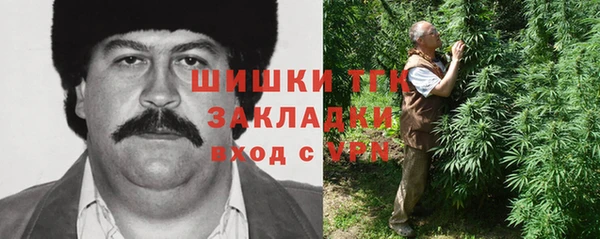 прущие грибы Няндома