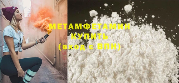прущие грибы Няндома