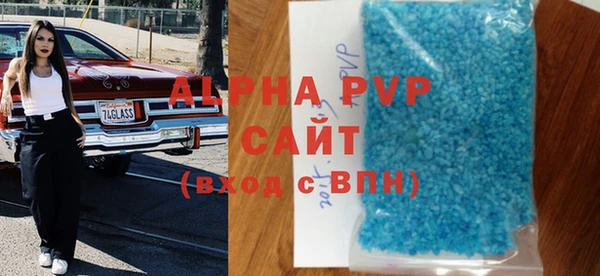 прущие грибы Няндома