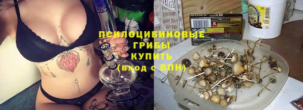 прущий лед Новозыбков