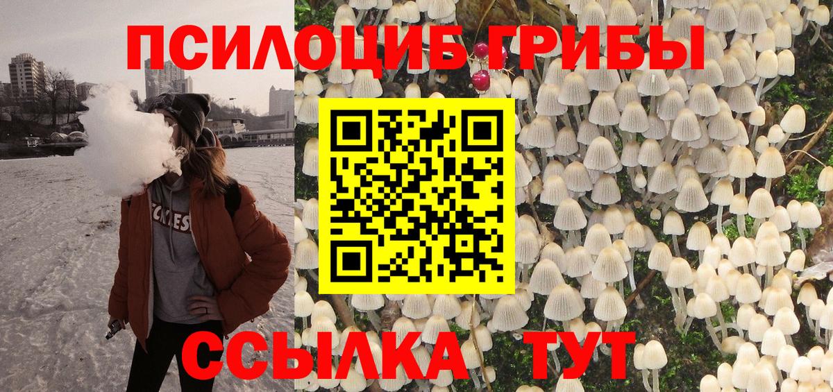 Саки  Галлюциногенные грибы GOLDEN TEACHER  Вход с VPN 
