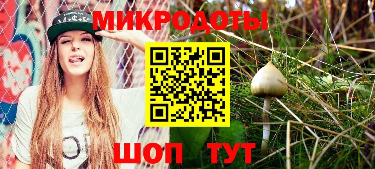 Псилоцибиновые грибы прущие грибы Саки