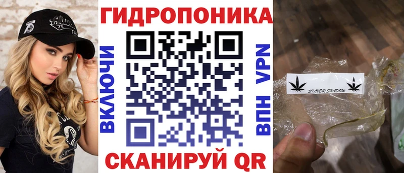 Шишки марихуана планчик  Саки 